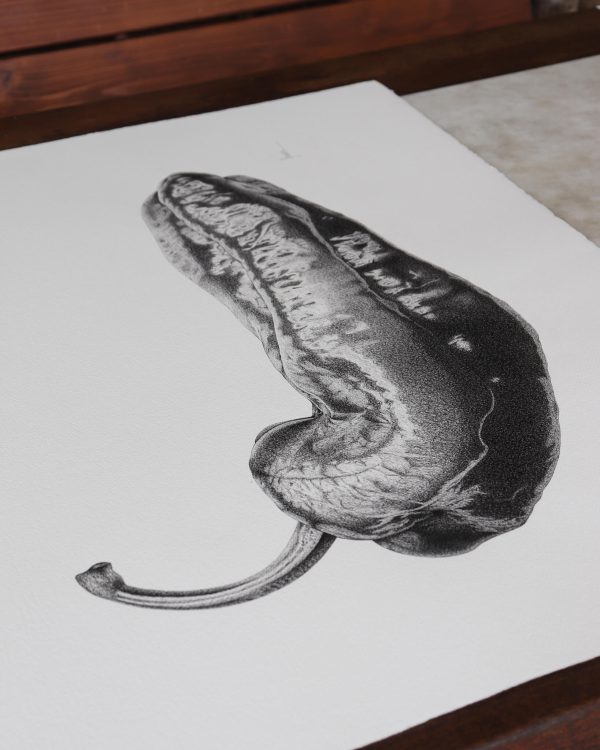 Obra orixinal "Mercedes trouxo pementos vol. 1" - Imagen 2